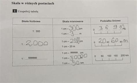 Skala W R Nych Postaciach Uzupe Nij Tabel Zadanie Na Zdj Ciu