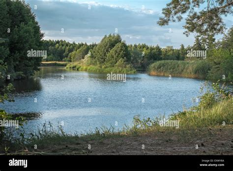 Wild river in forest Stock Photo - Alamy