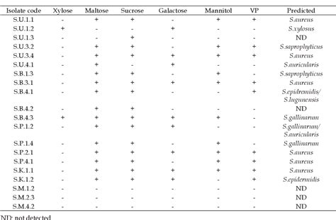 Table From Isolation And Identification Of Biofilm Forming