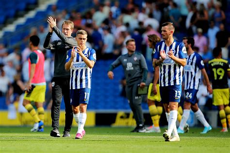 Comment: Brighton need points at home to prove Potter magic is working ...