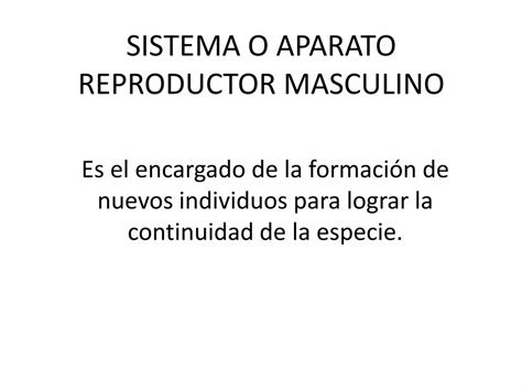 Pdf Sistema O Aparato Reproductor Masculino Dokumen Tips