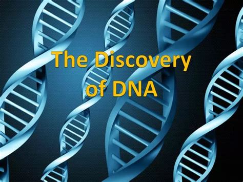 Ppt The Discovery Of Dna Powerpoint Presentation Free Download Id