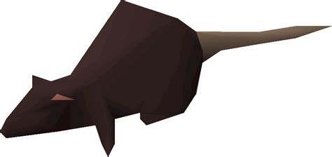 King rat - OSRS Wiki