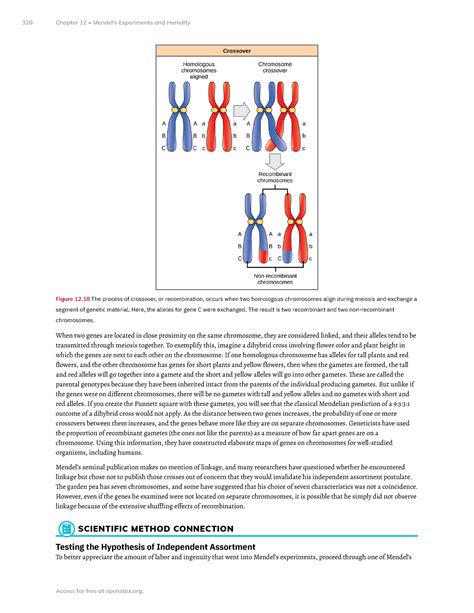 Chapter 12 Mendel S Experiments And Heredity Part 10 Figure 12 The