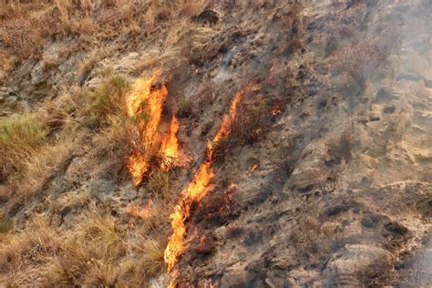 Terribile Giornata Di Incendi Nello Stretto Bruciano Le Colline Di