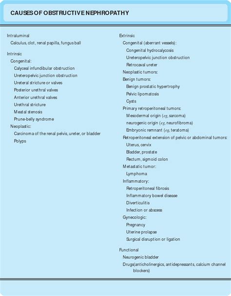 Figure From Reflux And Obstructive Nephropathy Anatomy Of