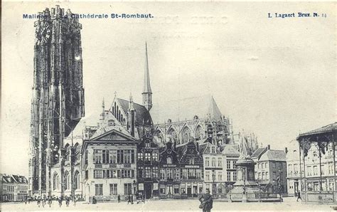 Mechelen Mechelen Malines La Cathedrale St Rombaut Lagaert N