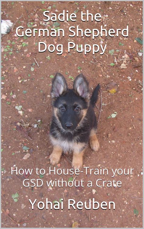 How Do You House Train A German Shepherd Puppy