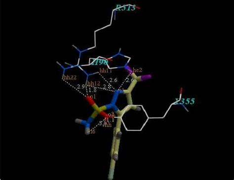 A Binding Mode Of The Original Ligand Celecoxib Into Its Binding Site