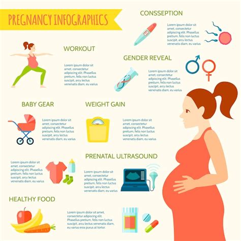 Infograf A De Embarazo Con Preparativos Para Una Ilustraci N De Vector