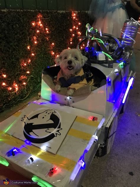 Ghostbusters Dog Costume | Unique DIY Costumes