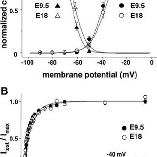 A Voltage Dependence Of Activation And Steady State Inactivation Of I