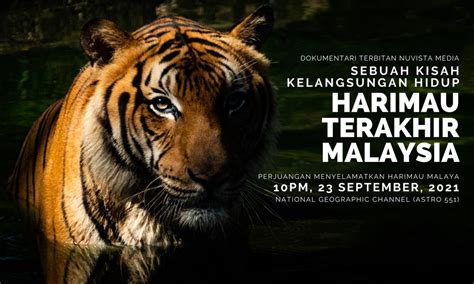 Pengarah Filem Desak Semua Rakyat Main Peranan Selamatkan Harimau Malaya