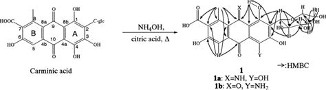 Scheme 1. Synthesis of acid-stable carmine from carminic acid ...