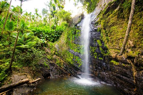 How To Spend A Day In El Yunque Puerto Rico Lonely Planet