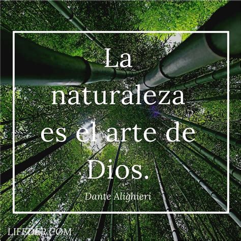 Frases De La Naturaleza Para Cuidarla Y Conservarla Cortas