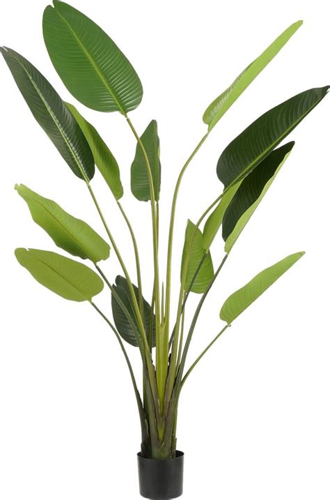 Mica Decorations Strelitzia Kunstplant In Bloempot H X Cm