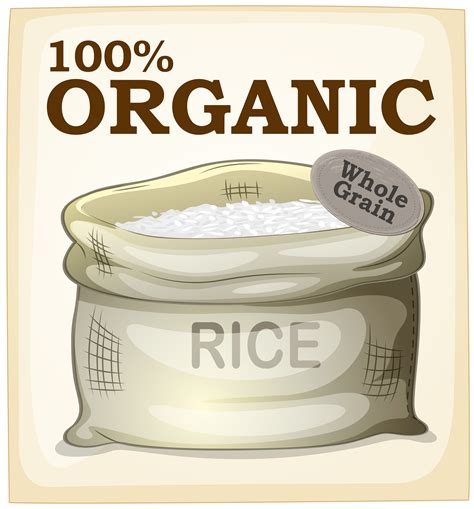 Rice poster 419181 Vector Art at Vecteezy