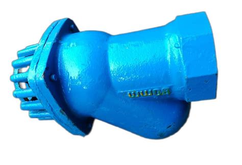 Blue Ball Type Cast Iron Foot Valve Valve Size Mm At Piece