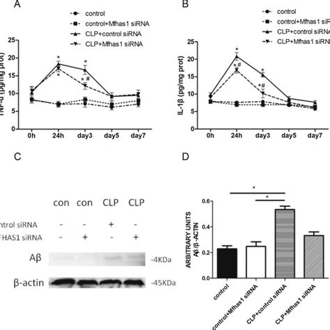 The Expression Of Tnf α Il 1β And Aβ In The Hippocampus Of Septic Rats