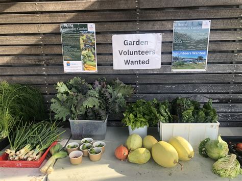 St Helens Community Garden | St Helens TAS