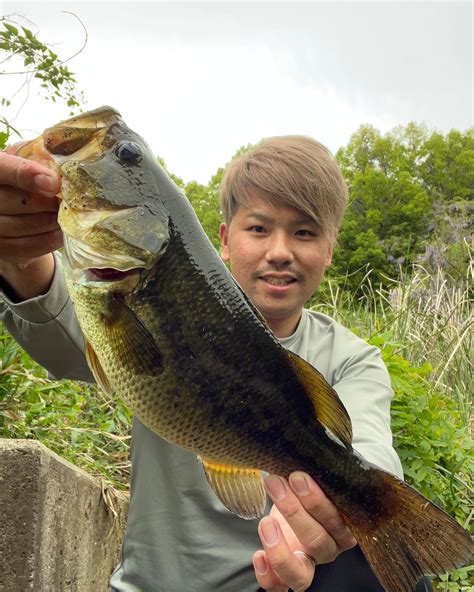 Yu Ki1002 さんの 2023年04月24日のブラックバスの釣り・釣果情報茨城県 茨城県つくば市近辺 アングラーズ 釣果