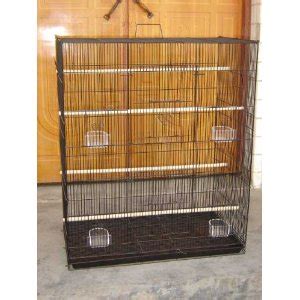 Pet Sugar Glider Information: Your Sugar Gliders Cage