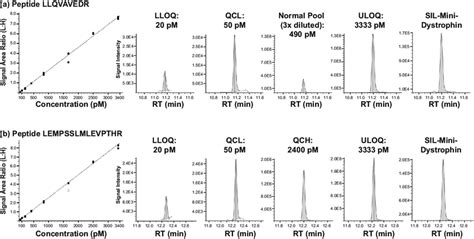 Calibration Curves And Chromatograms Representative Calibration Curves Download Scientific