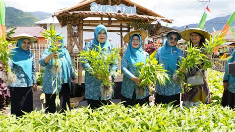 Acara Penilaian Lomba Program Pokok Pkk Tingkat Provinsi Di