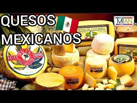 Descubre Las Mejores Marcas De Quesos Mexicanos Gu A Completa Para