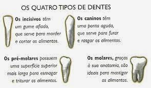 Clinica Dentaria Mais Sorriso Vejam Algumas Dicas Importantes Da