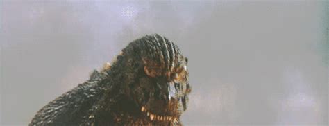 Godzilla Junior Finds His Roar Godzilla Know Your Meme