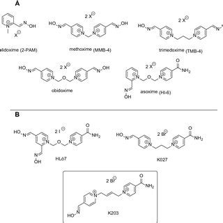 a The chemical structures of the commercially available oxime ...