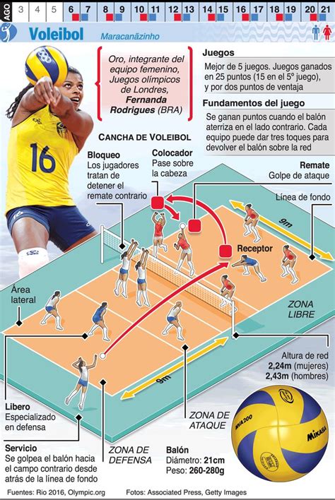 Infografía Voleibol en los Juegos de Río 2016 Voleibol Deportes