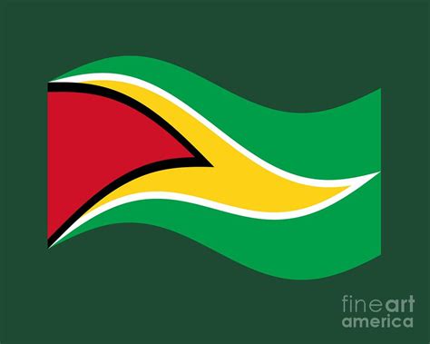 Waving Guyana Flag Digital Art by Frederick Holiday