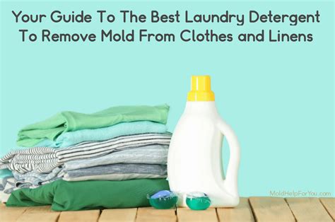 Your Guide To The Best Laundry Detergent To Remove Mold | Mold Help For You