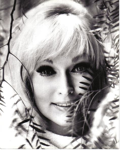 Poze Karen Steele Actor Poza 4 Din 24 Cinemagiaro