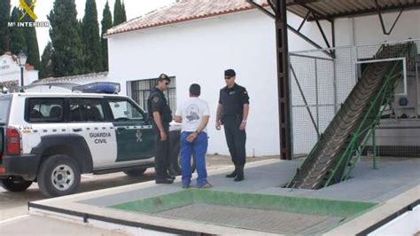 La Guardia Civil Recupera En Tres Semanas Más De 20 Toneladas De