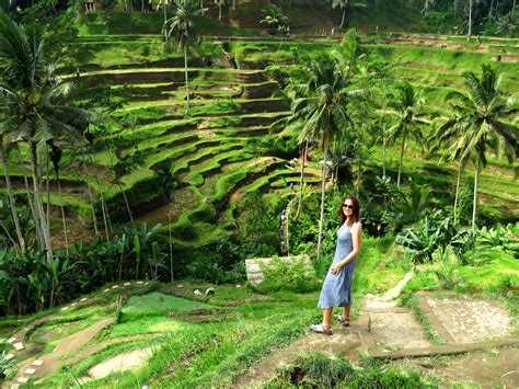 » Indonesia,-Tegallalang-Rice-Terraces-Bali