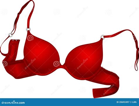 Red Bra Stock Vector Illustration Of Women Fashion 20692497