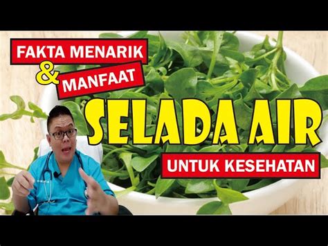 Temukan Manfaat Sayur Kenci Yang Jarang Diketahui Solider