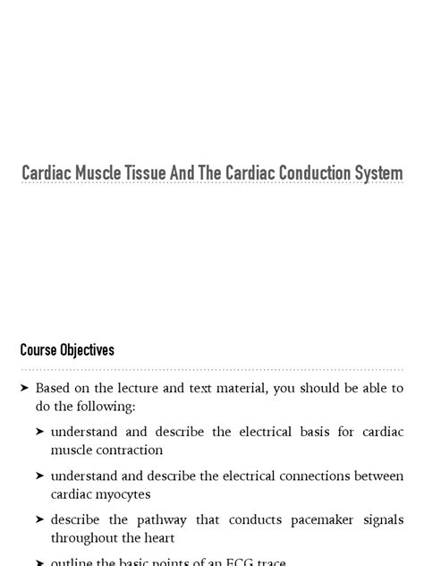 Electrical Activity of The Heart | PDF | Cardiac Muscle ...