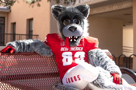 Office of Admissions | The University of New Mexico