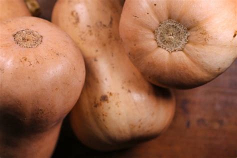 Découverte de la courge longue de Nice un légume aux multiples