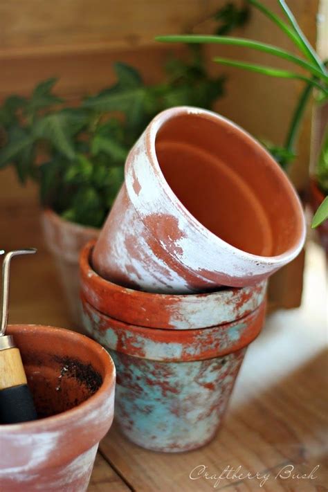 How To Age Terracotta Pots Three Methods Terracotta Pots