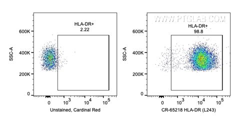 Hla Dr Antibody Cr 65218 Proteintech