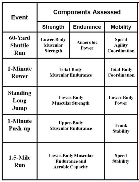 army combat fitness test standards - Cira Westfall