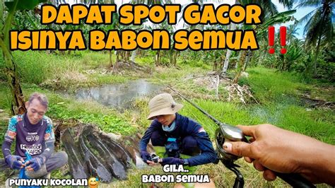 CASTING GABUS DAPAT SPOT GACOR ISINYA BABON SEMUA YouTube