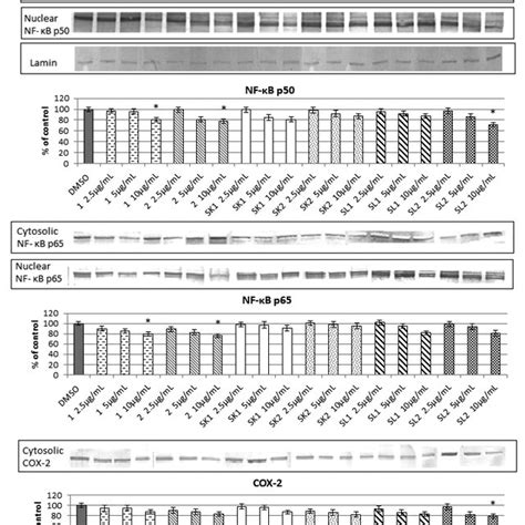 The Effect Of Luteolin Glucoside Apigenin Glucoside And S