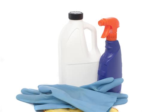 stock photo  household cleaning products freeimageslive